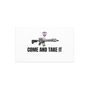 Come and Take It Car Magnets