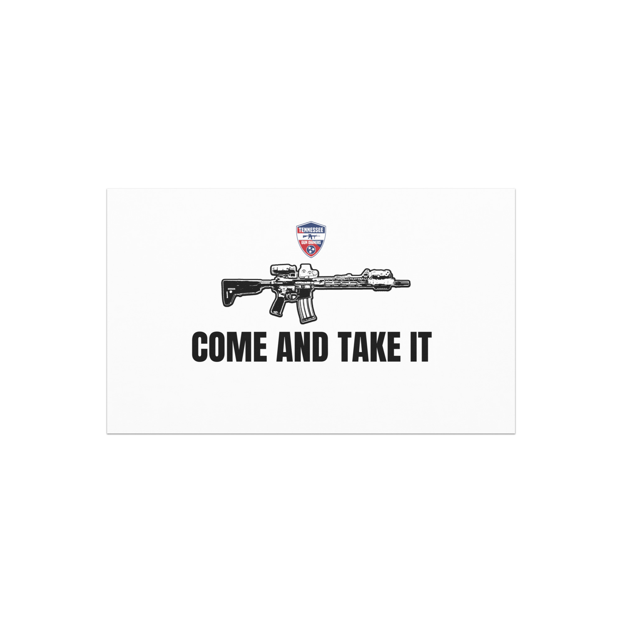 Come and Take It Car Magnets