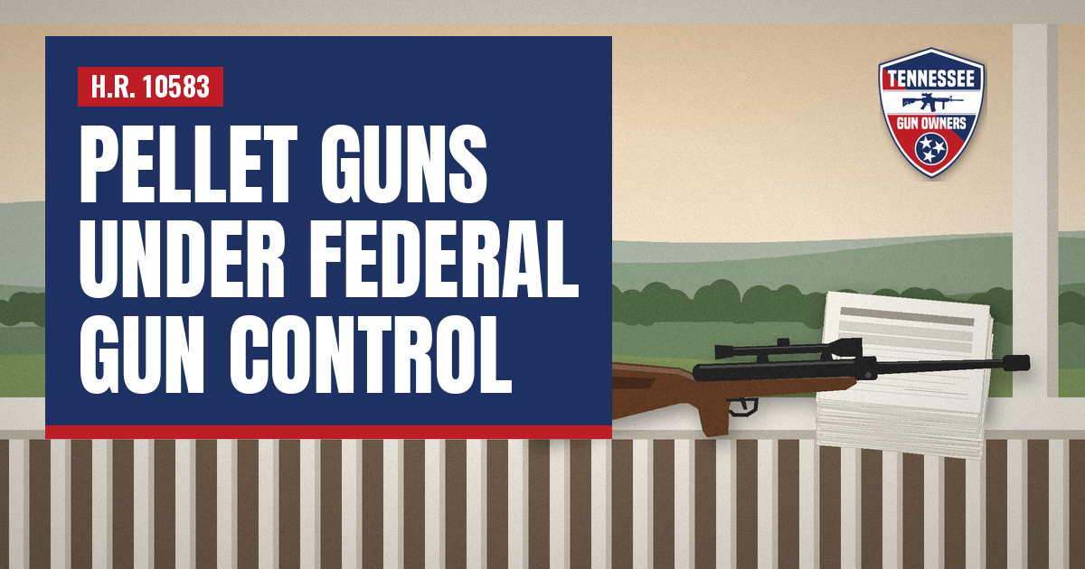 Pellet Guns Under Federal Gun Control